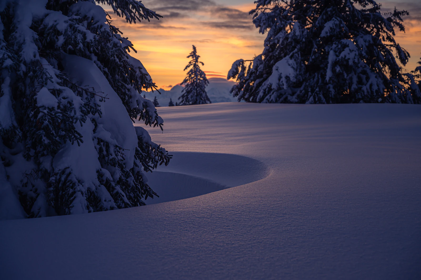 Sapins chargés de neige au coucher du soleil dans le massif du Jura